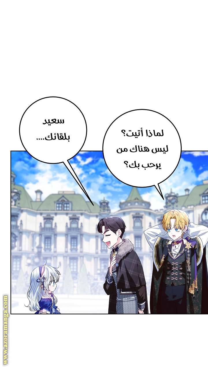 الصفحة 25
