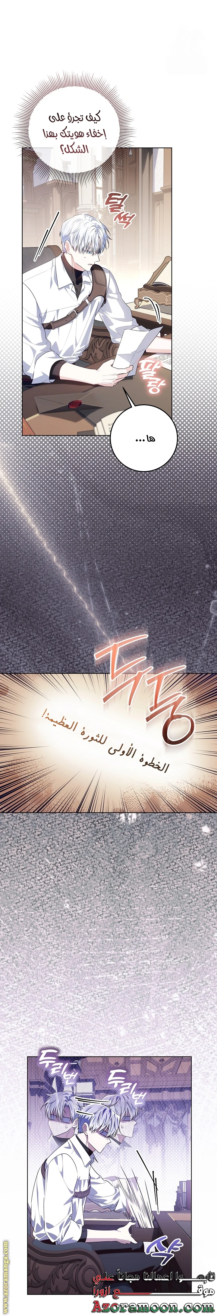 الصفحة 29