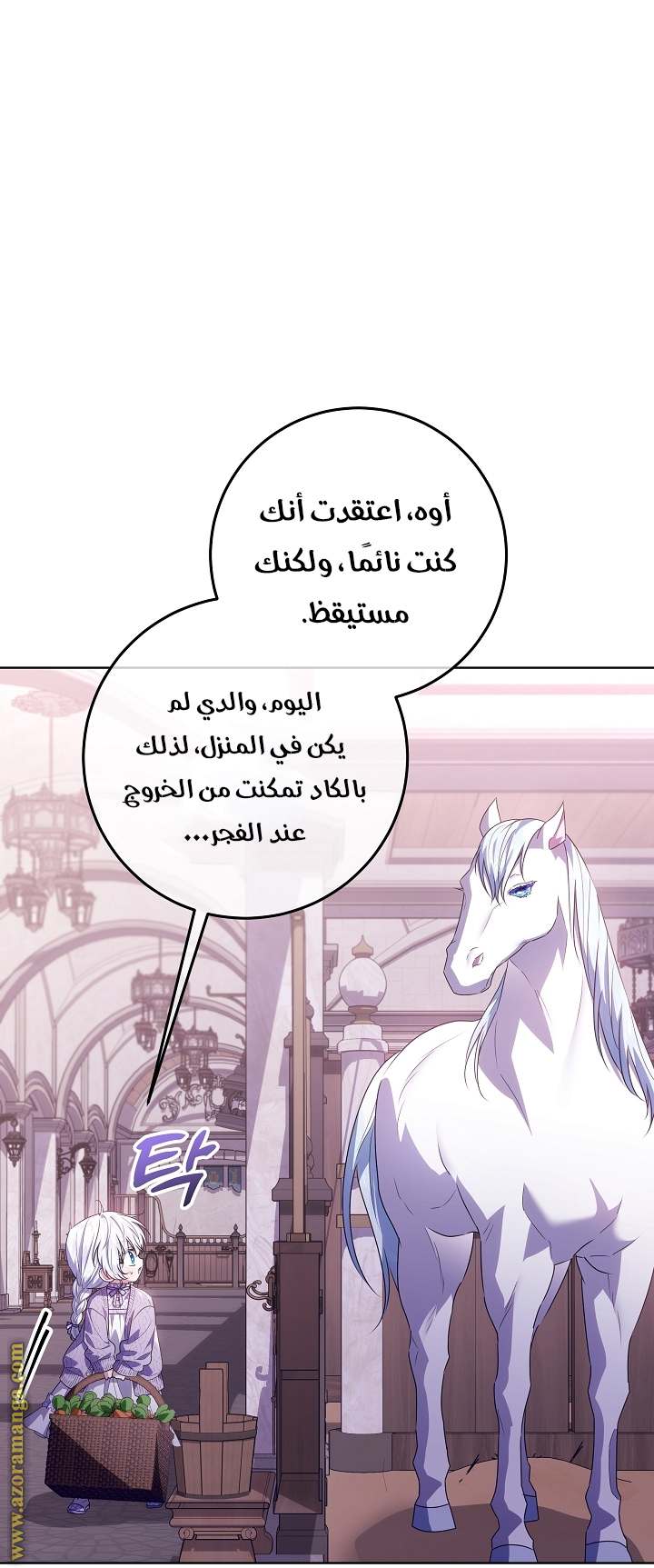 الصفحة 11