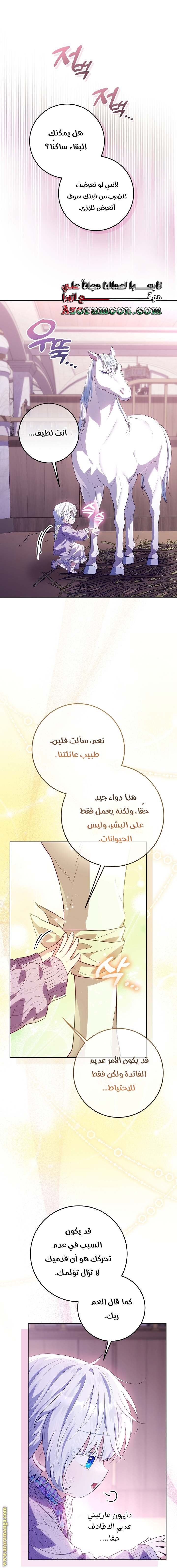 الصفحة 13