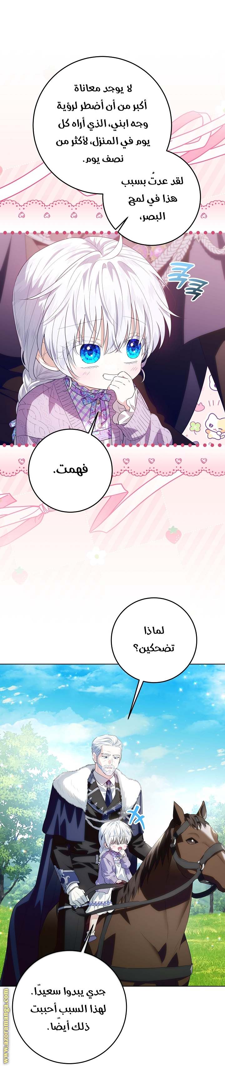 الصفحة 31