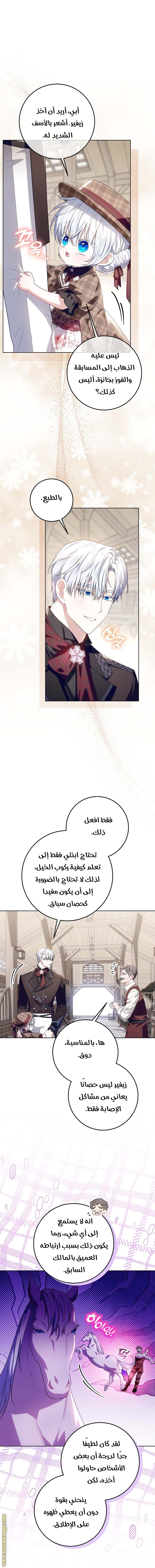 الصفحة 17