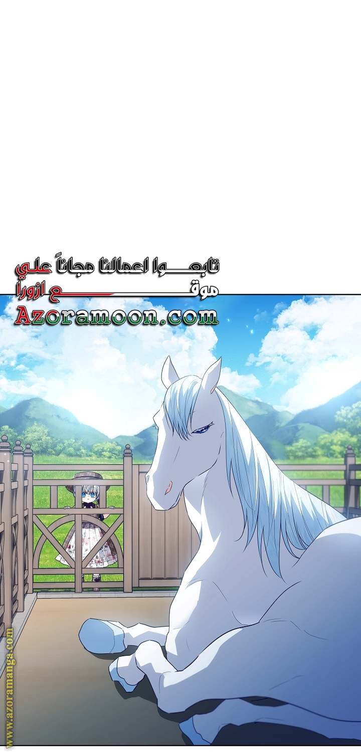 الصفحة 25