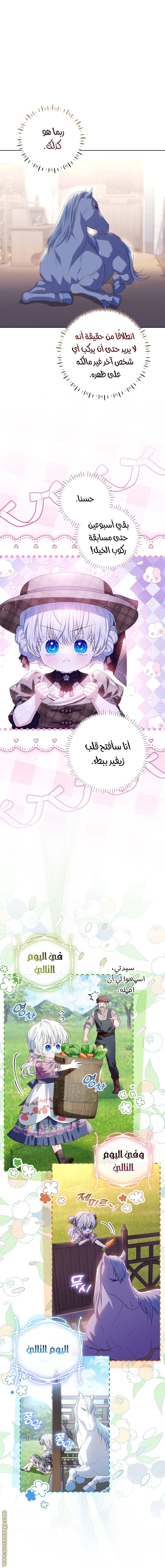 الصفحة 27