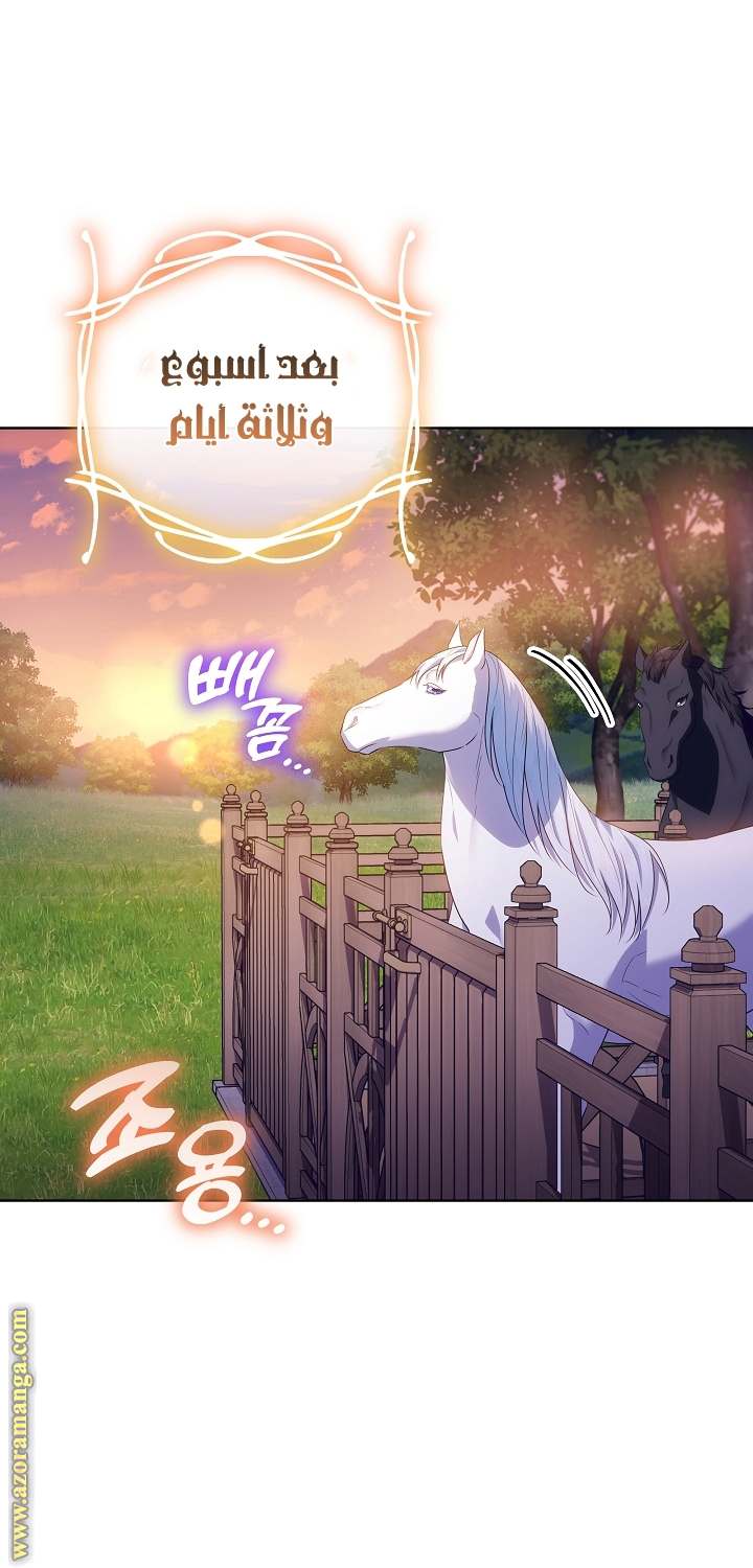 الصفحة 28