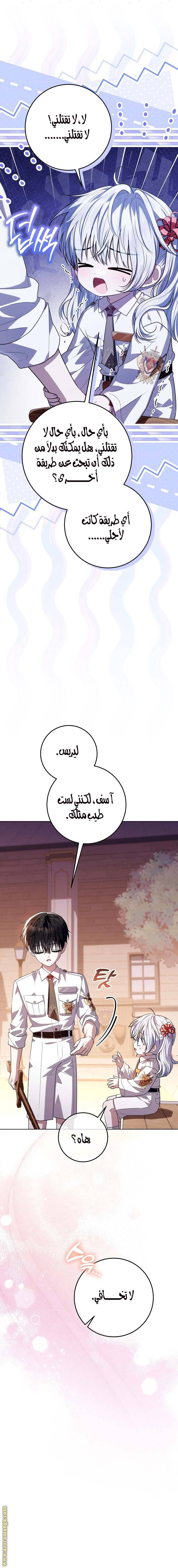 الصفحة 17