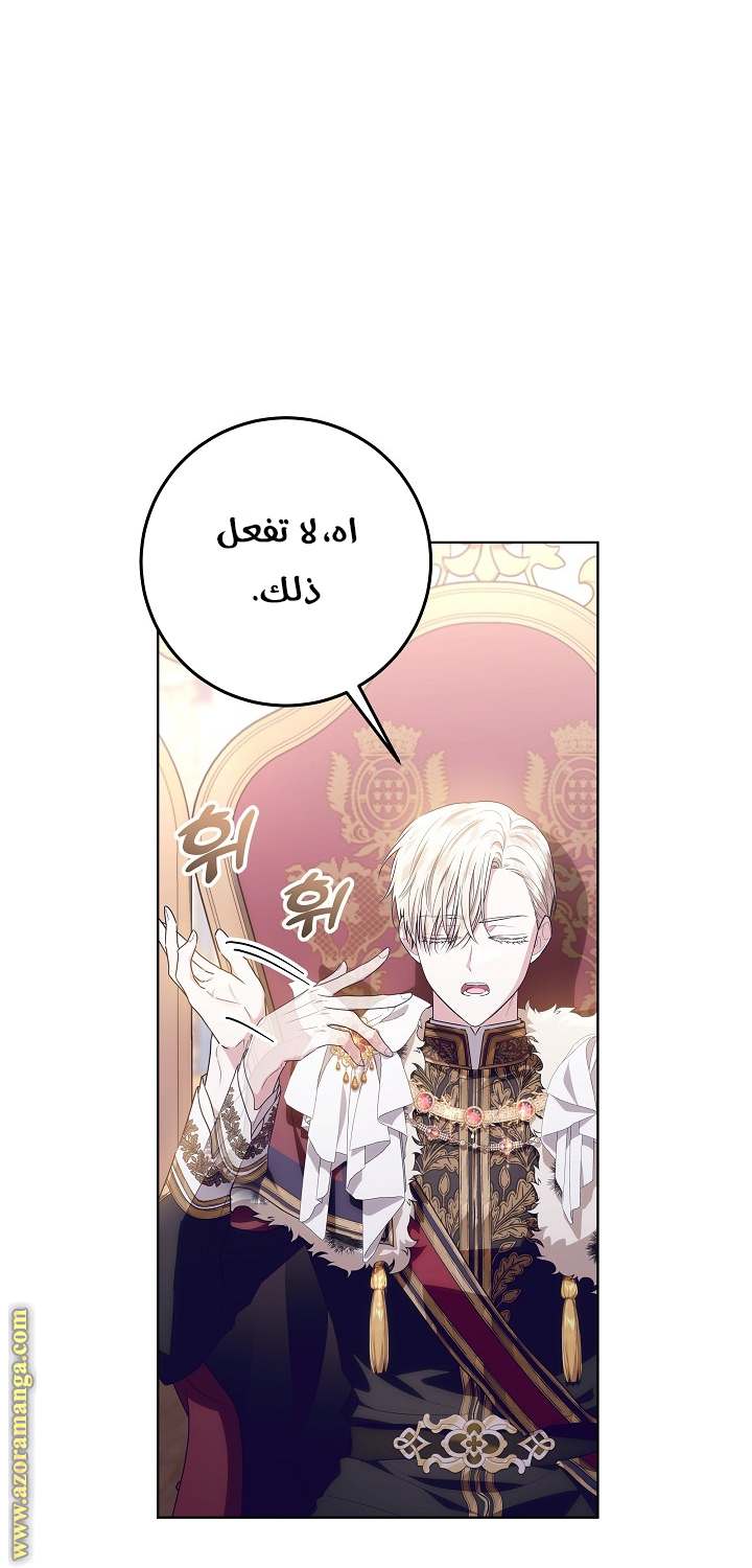 الصفحة 25