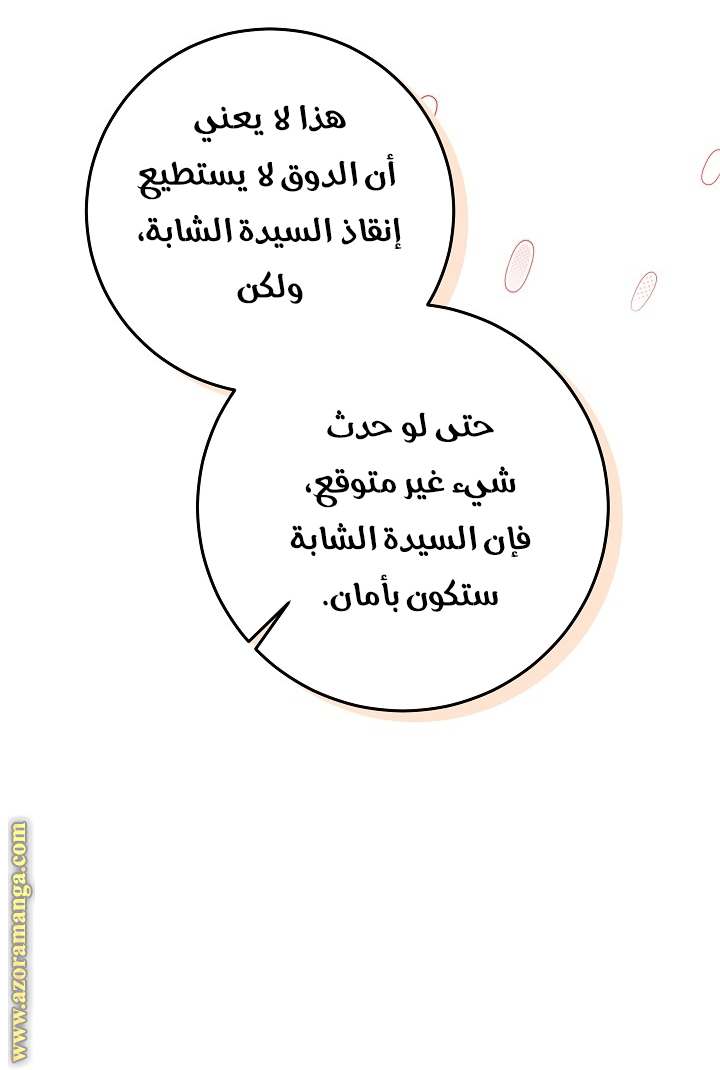 الصفحة 53