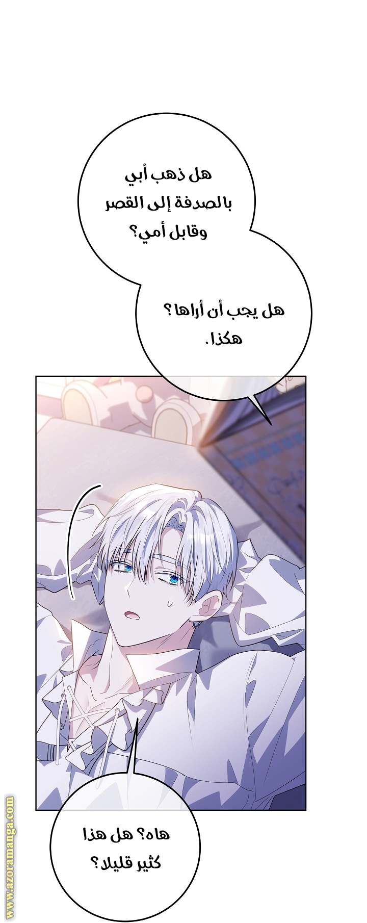 الصفحة 13