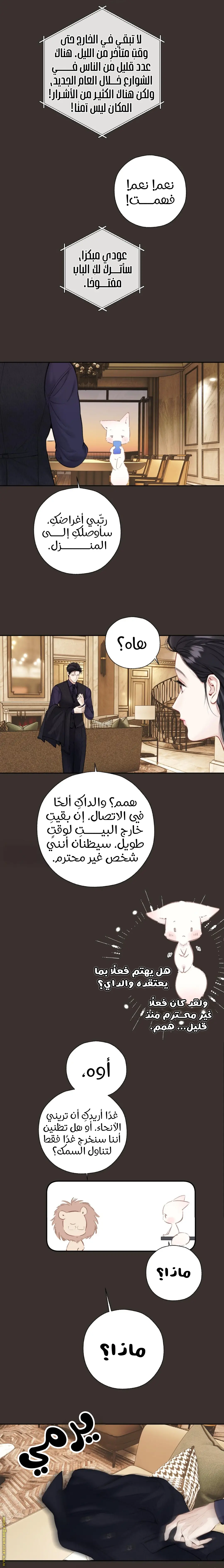 الصفحة 11