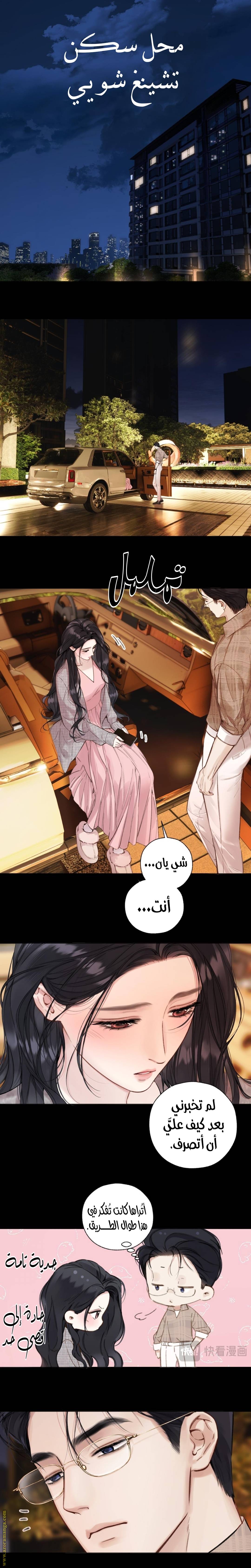 الصفحة 3