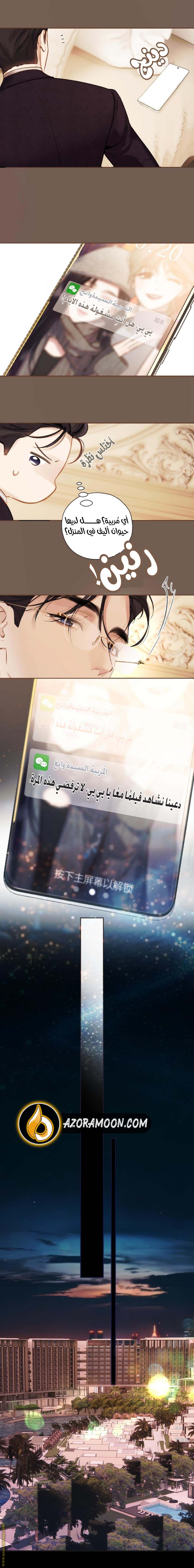 الصفحة 13