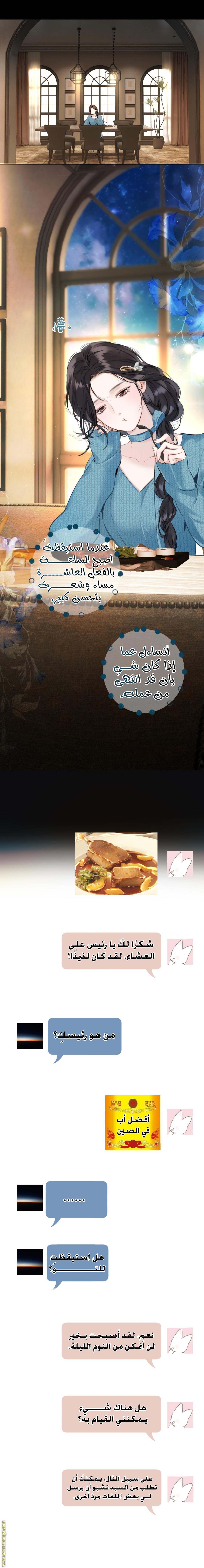 الصفحة 14