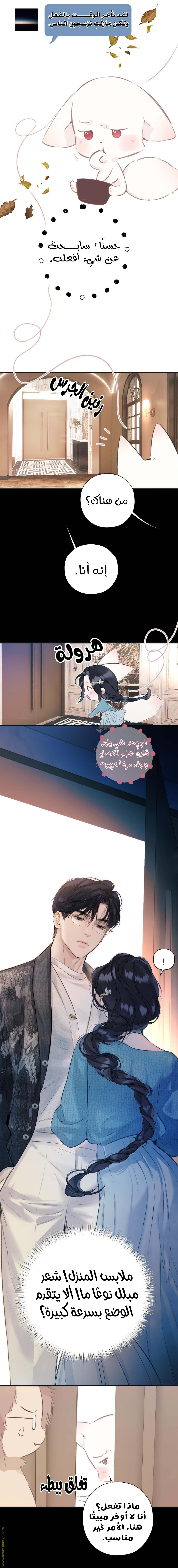 الصفحة 15