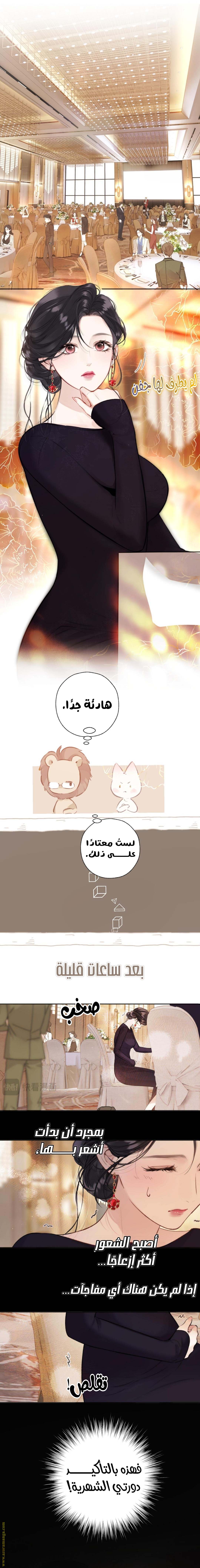 الصفحة 6