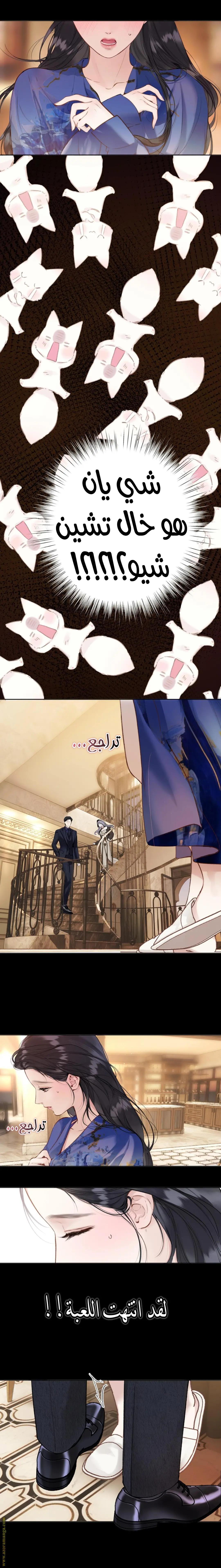 الصفحة 8