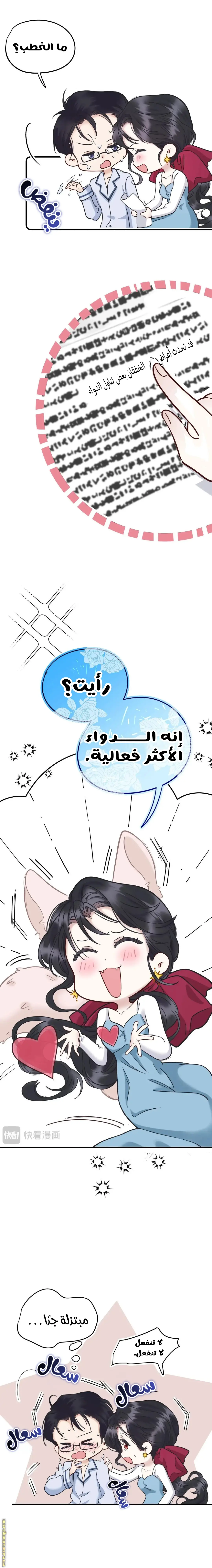 الصفحة 3