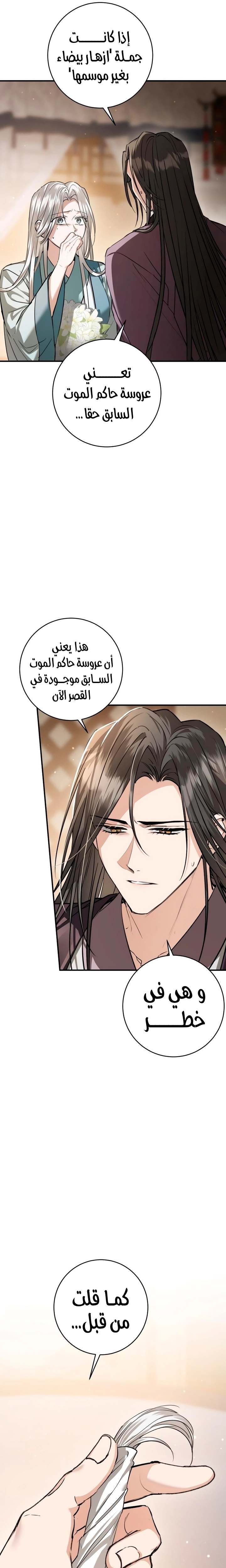 الصفحة 25
