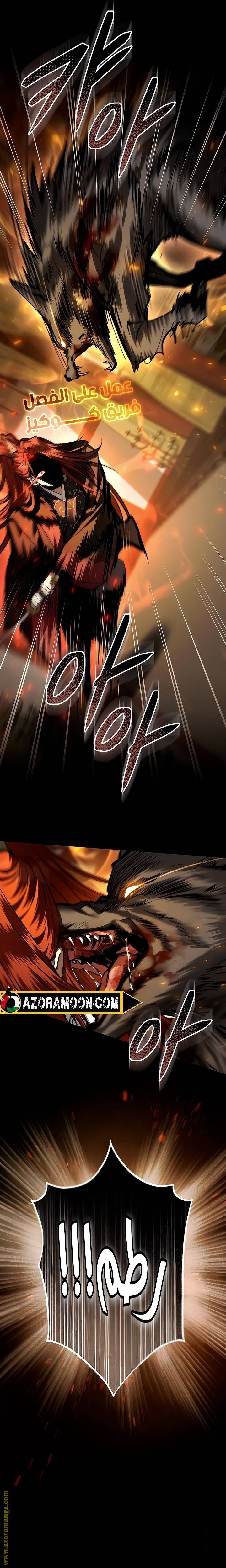 الصفحة 17