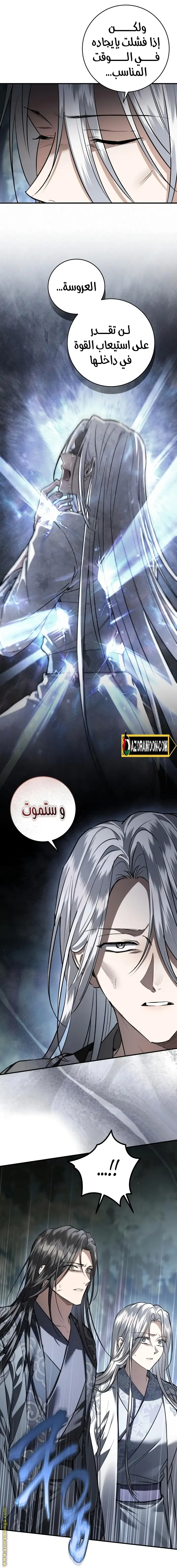 الصفحة 14