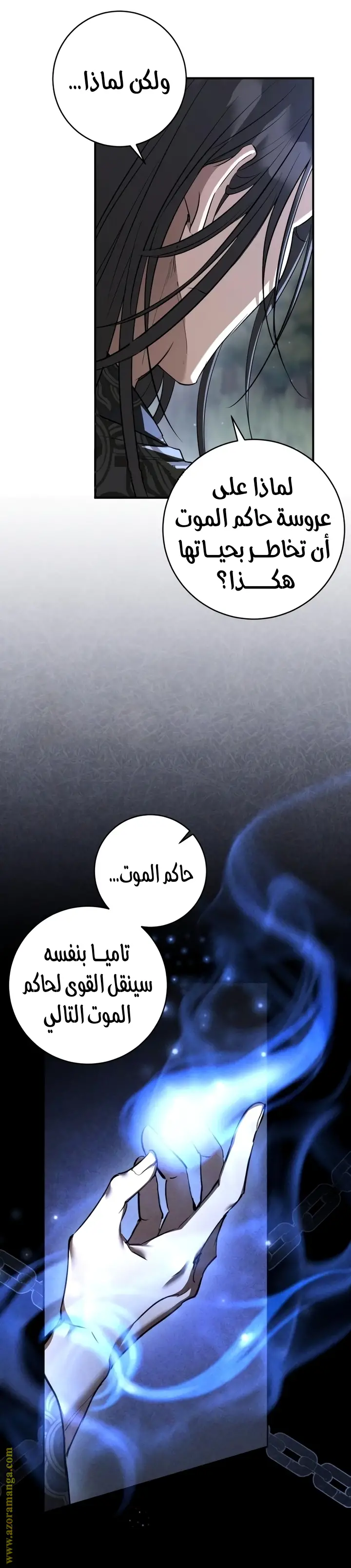 الصفحة 17