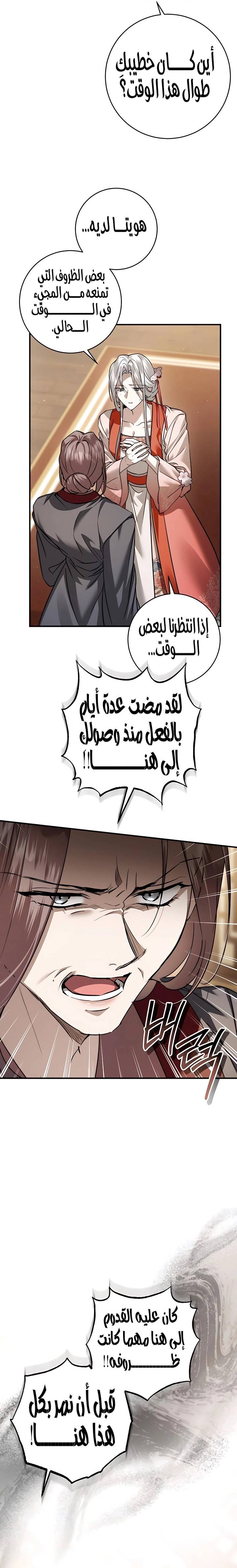الصفحة 26