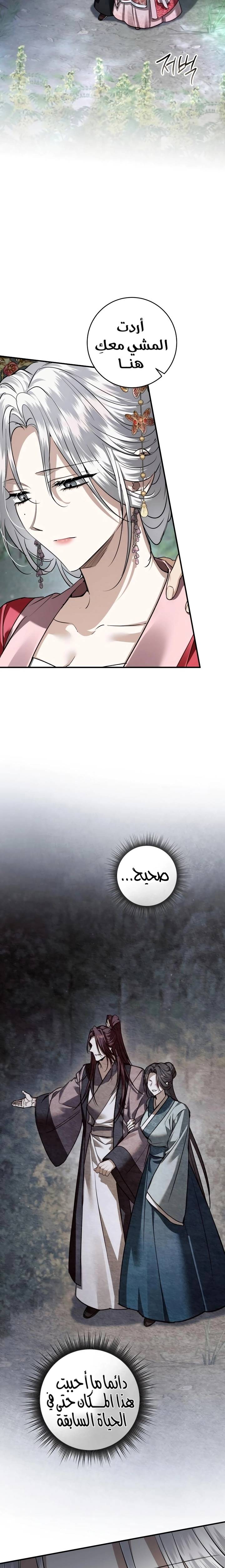 الصفحة 17