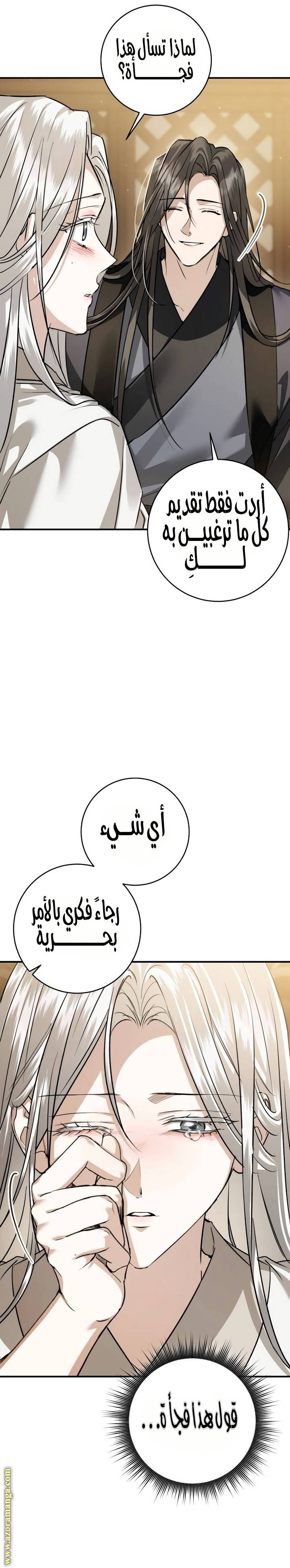 الصفحة 17