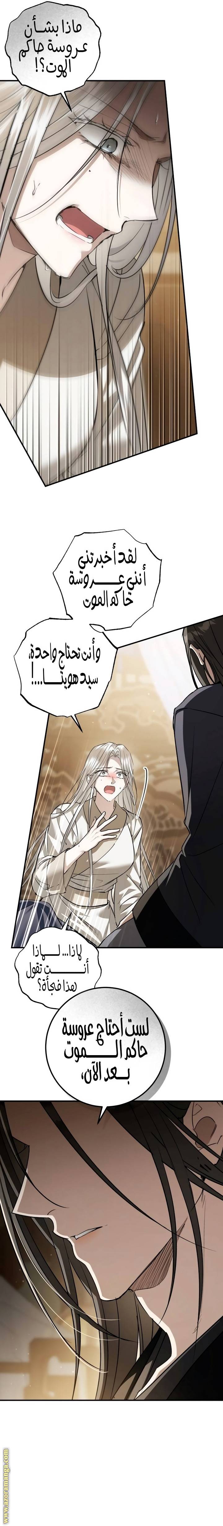 الصفحة 25