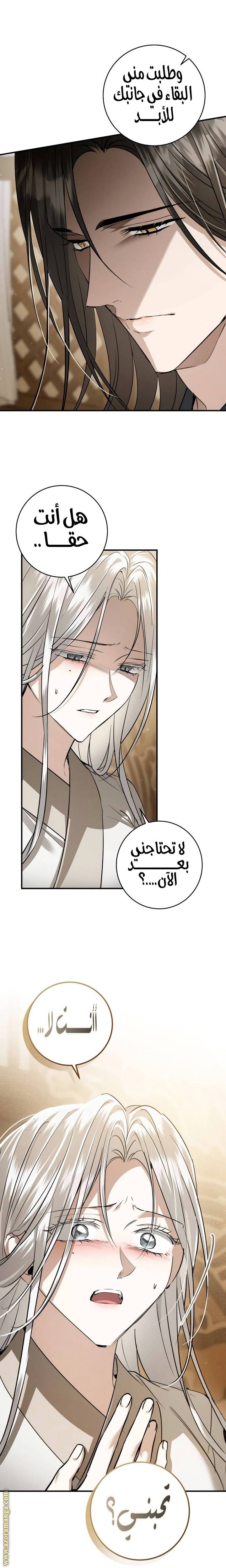 الصفحة 27