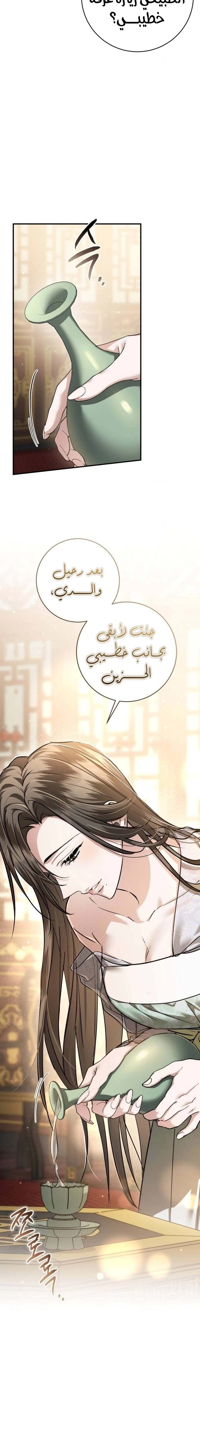 الصفحة 25