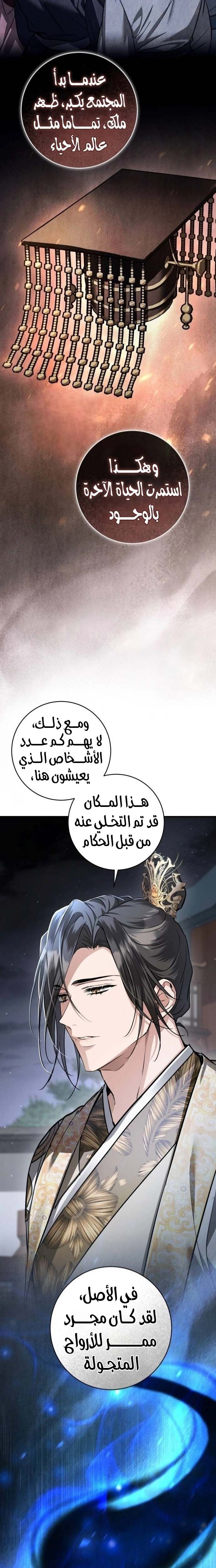 الصفحة 16