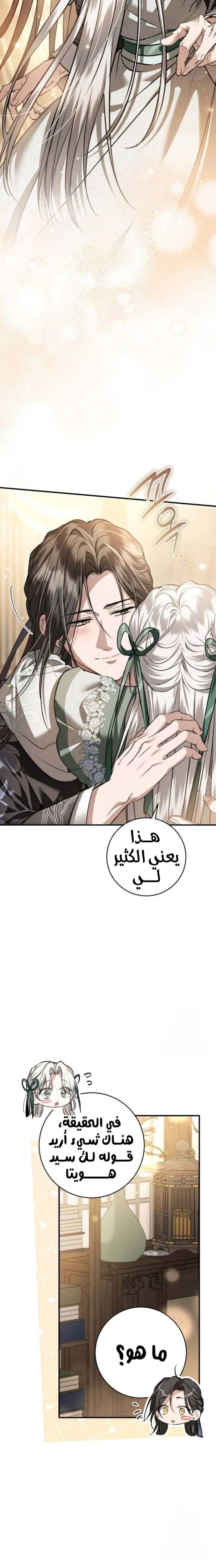 الصفحة 26