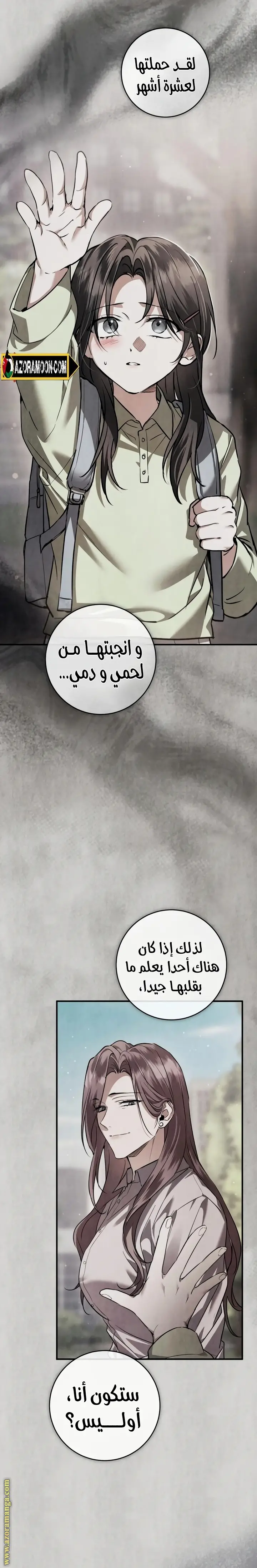 الصفحة 25