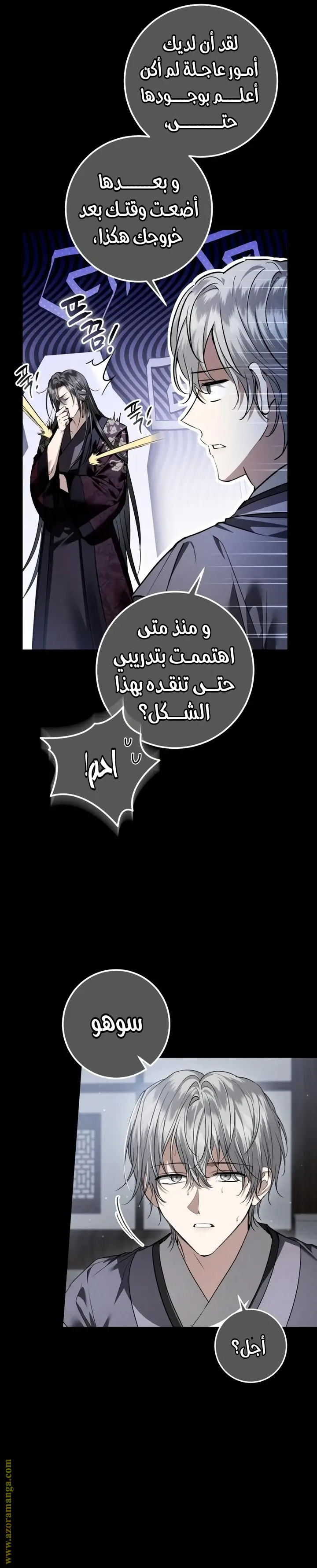 الصفحة 13