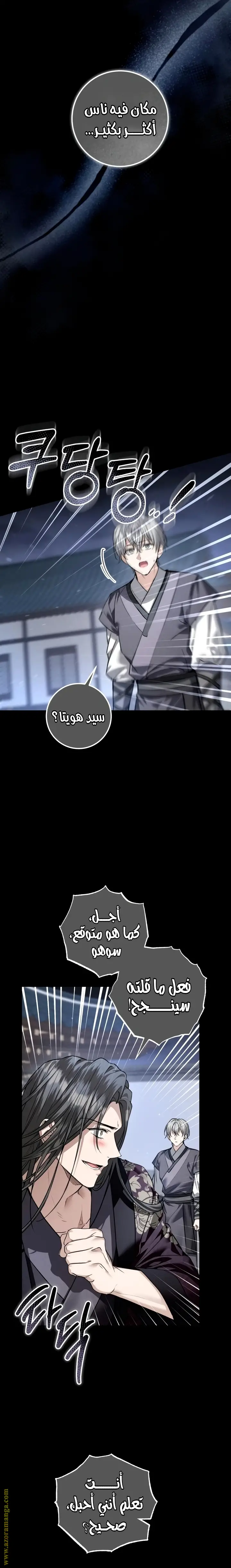 الصفحة 17