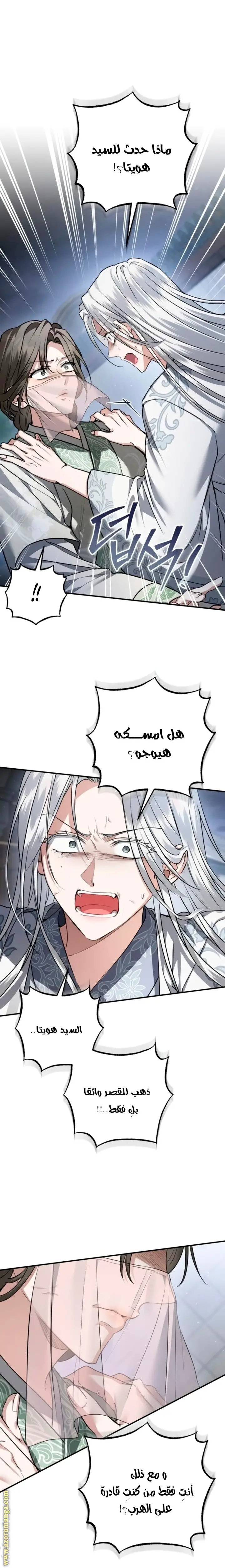 الصفحة 17