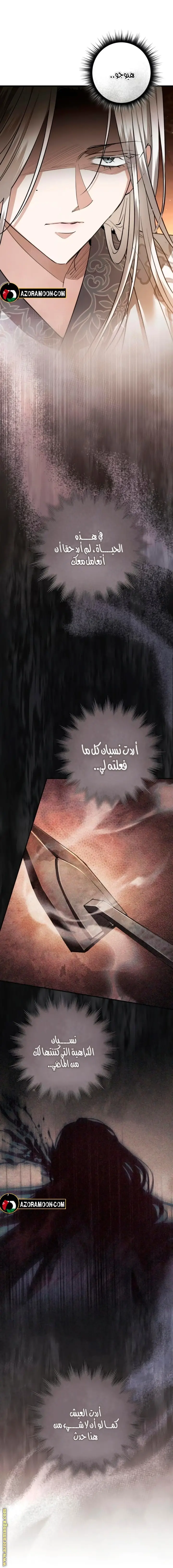 الصفحة 27