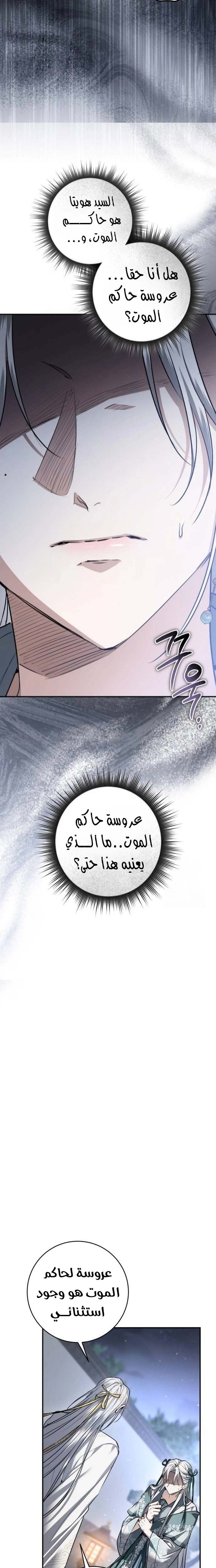 الصفحة 26