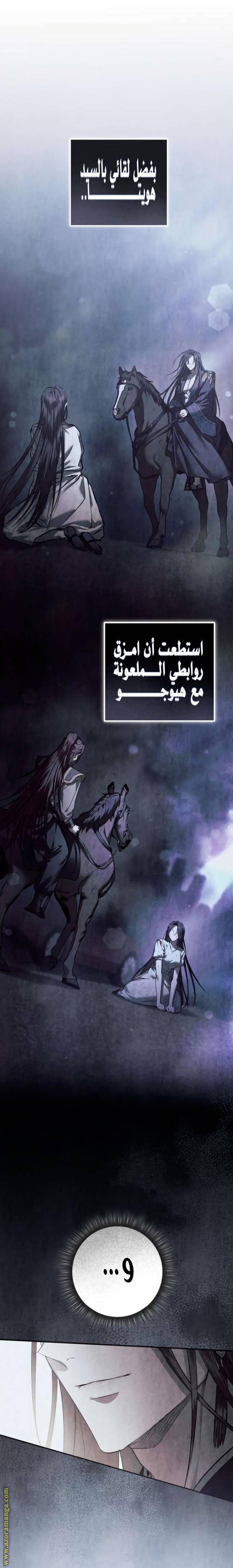 الصفحة 29