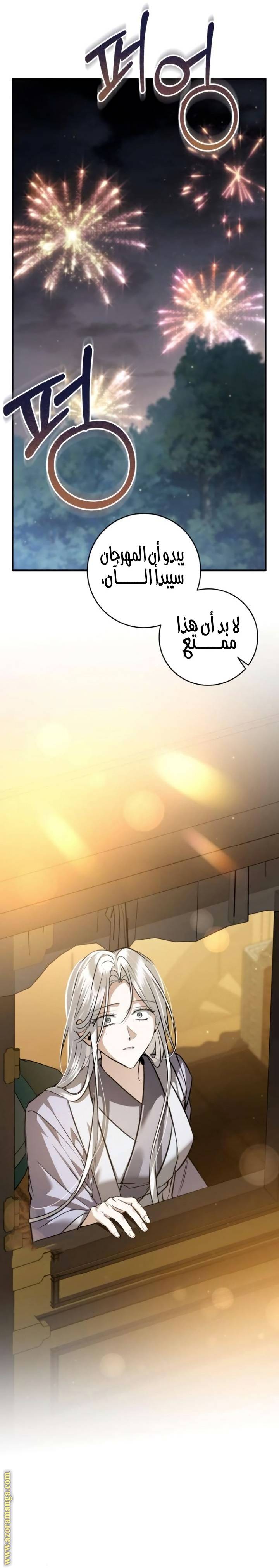 الصفحة 31