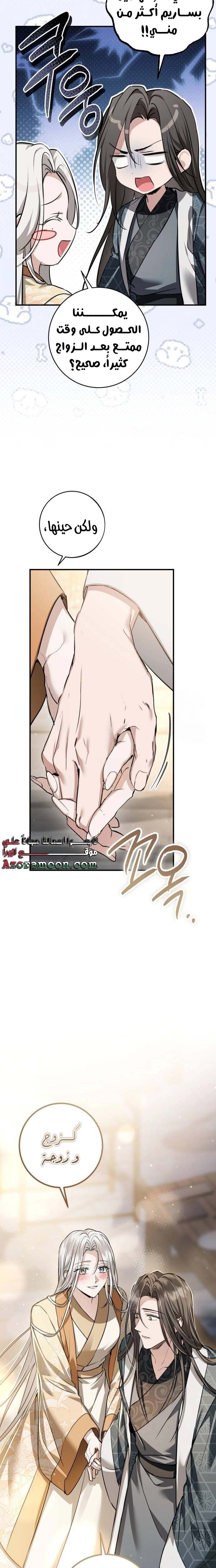 الصفحة 31