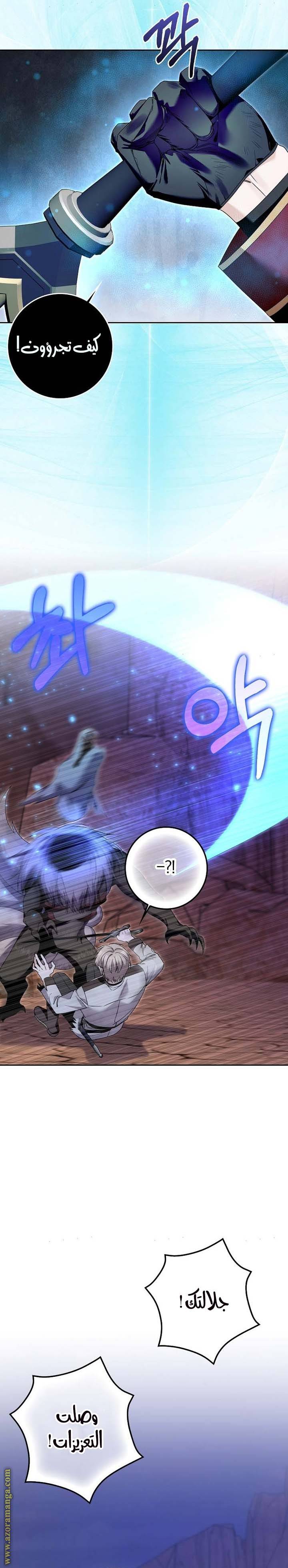 الصفحة 17