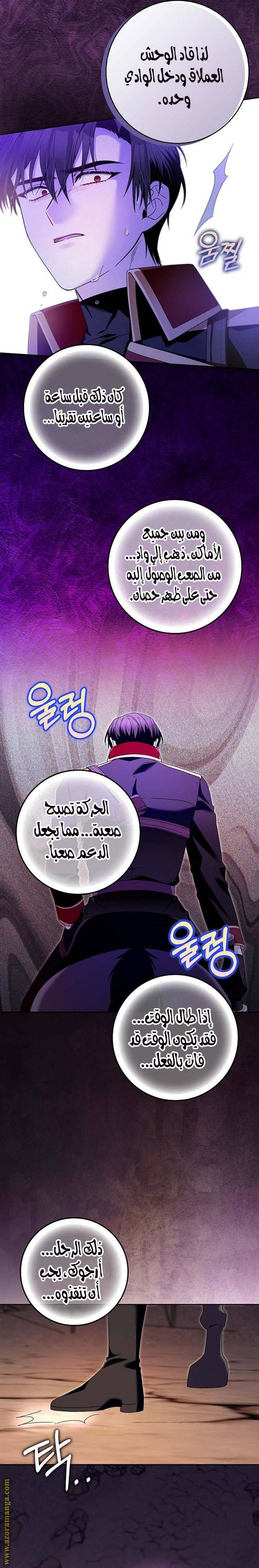 الصفحة 19