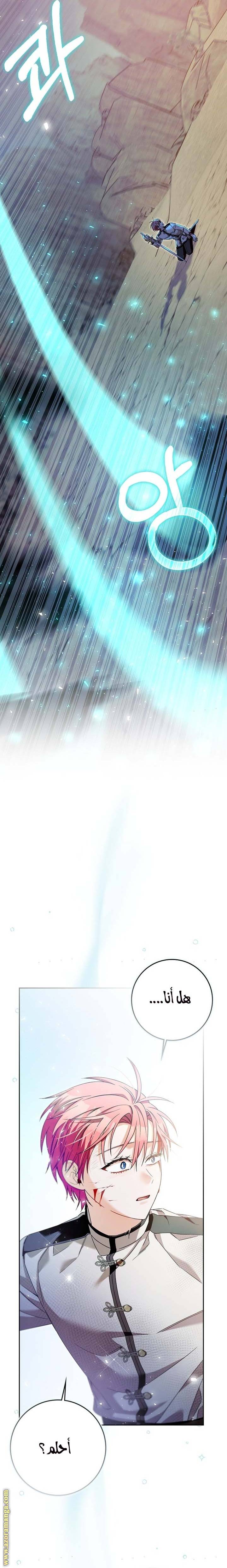 الصفحة 26