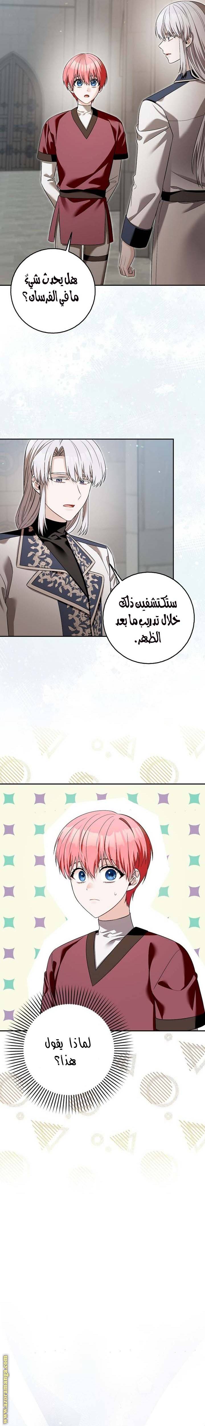 الصفحة 13