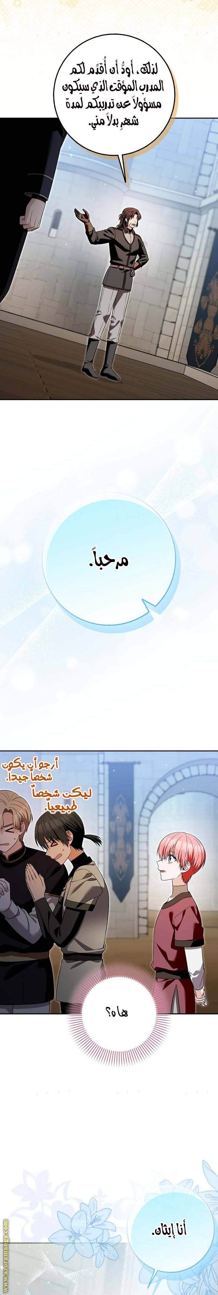 الصفحة 17