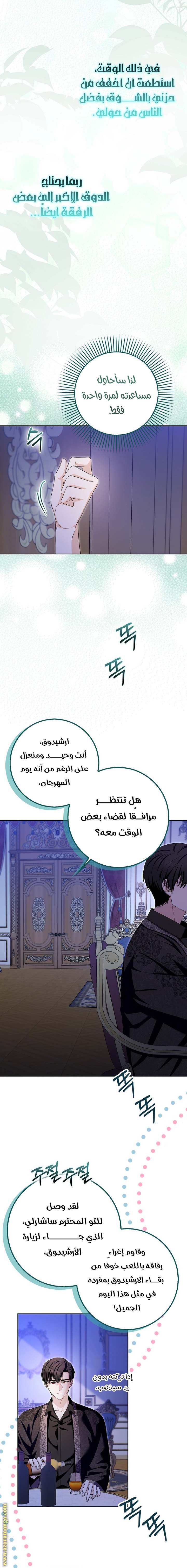 الصفحة 13