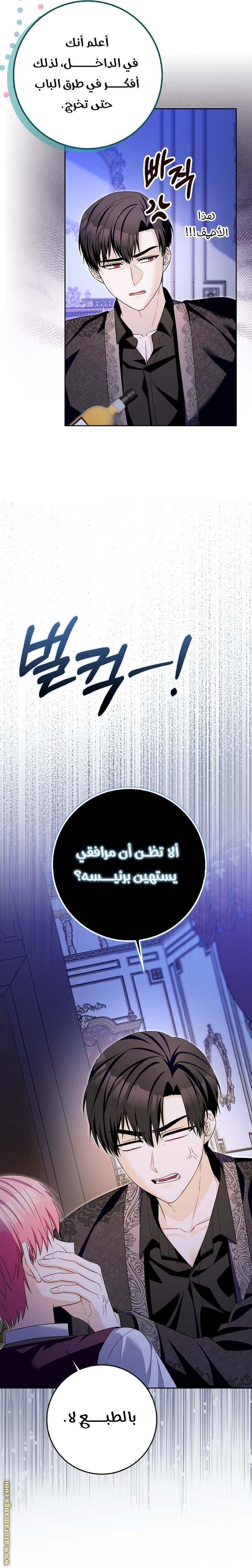 الصفحة 14