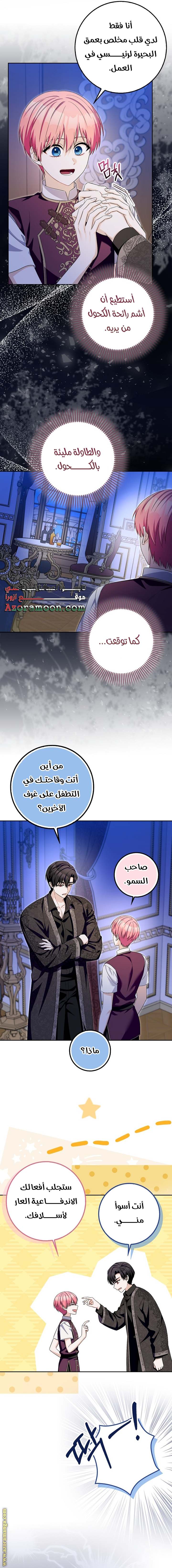 الصفحة 15